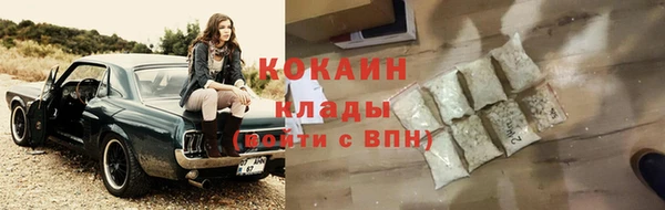 шишки Баксан