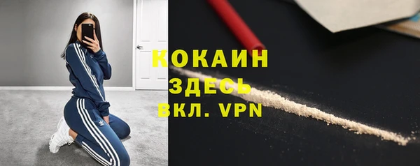 шишки Баксан